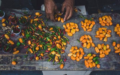 El trabajo en primer plano